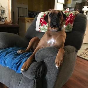 Meet your Posher, Anne